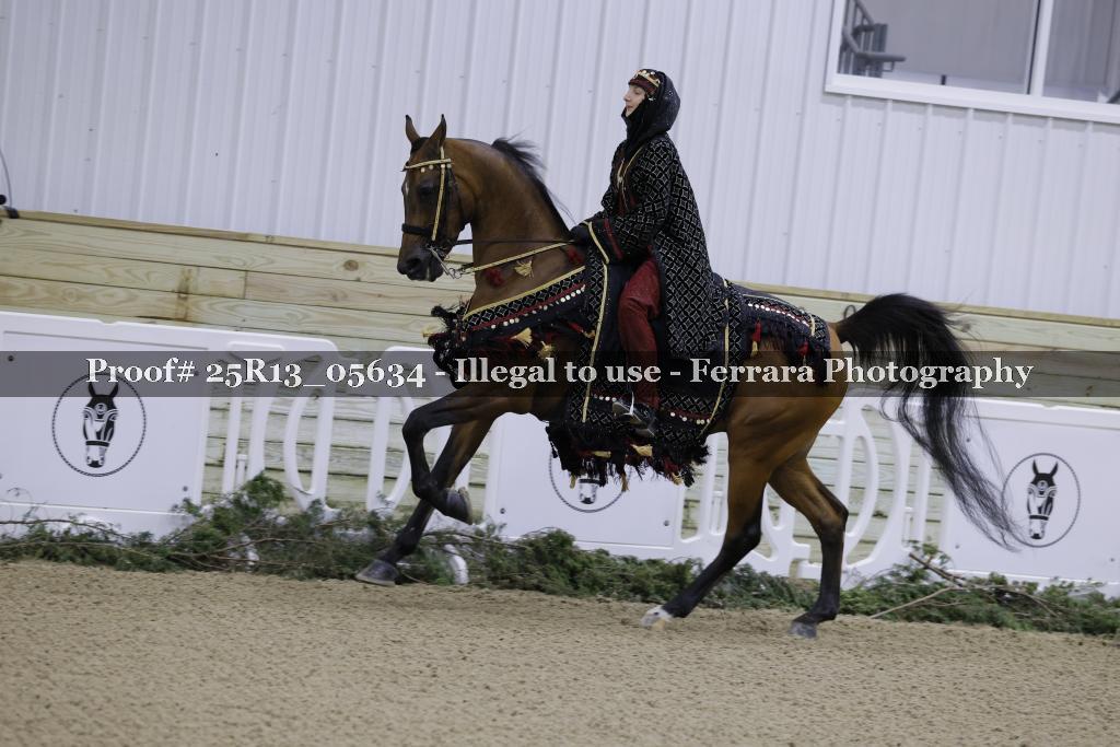 Proof Number 25R13_05634