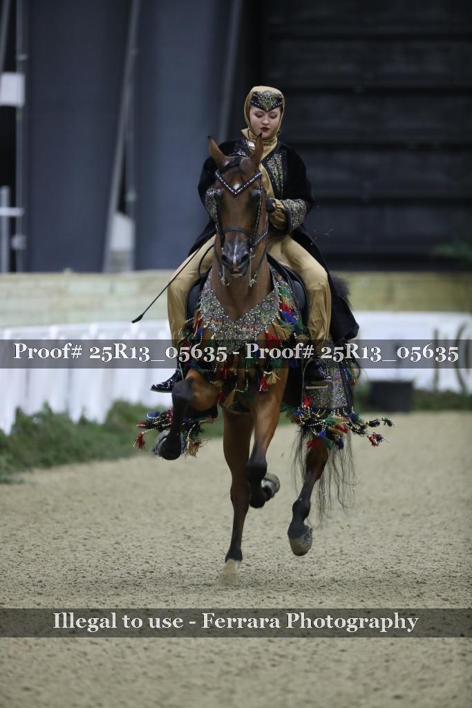 Proof Number 25R13_05635