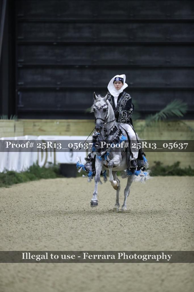 Proof Number 25R13_05637