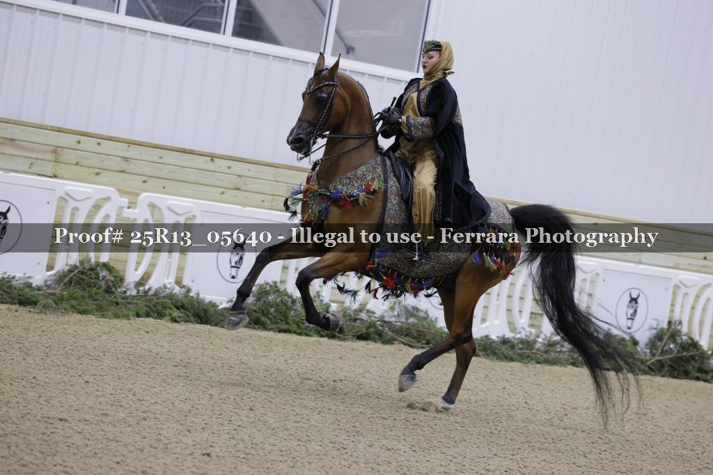 Proof Number 25R13_05640