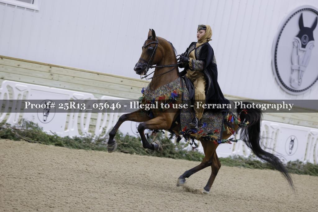 Proof Number 25R13_05646