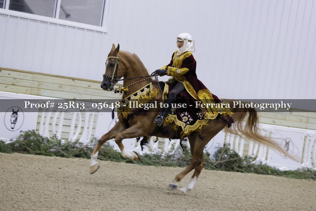 Proof Number 25R13_05648