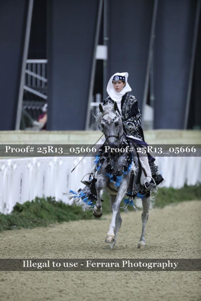 Proof Number 25R13_05666