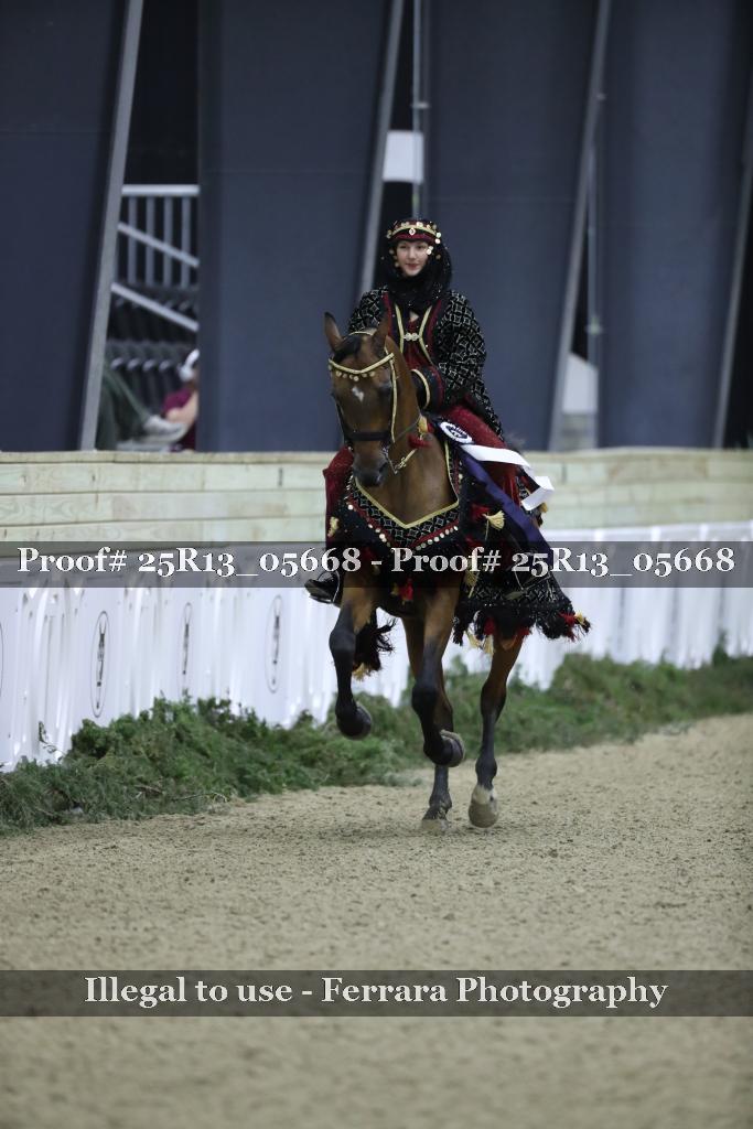 Proof Number 25R13_05668
