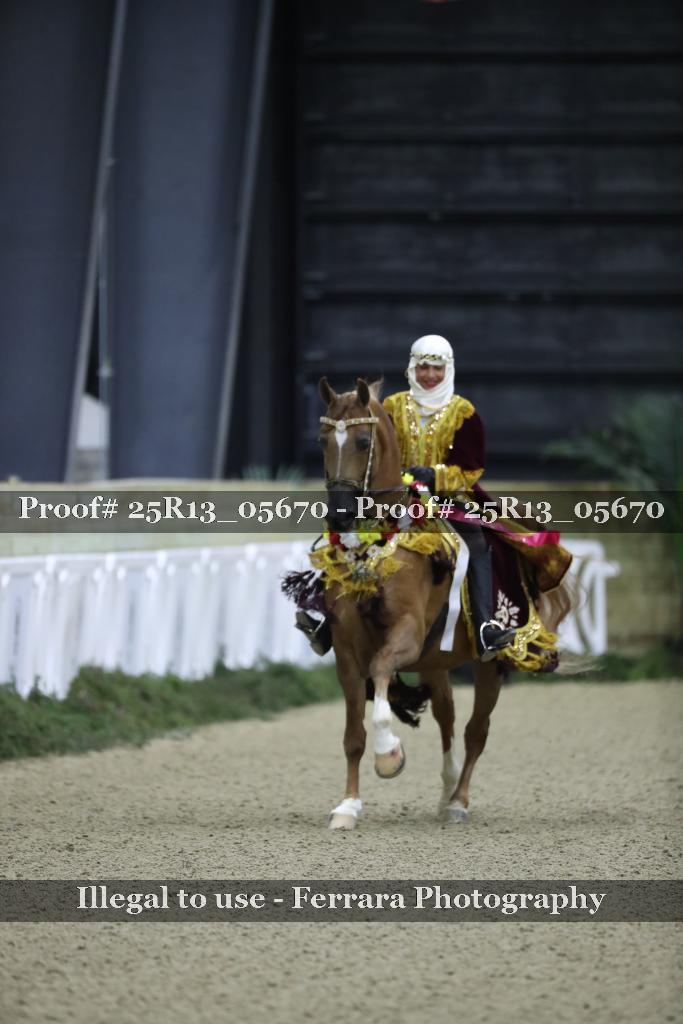 Proof Number 25R13_05670