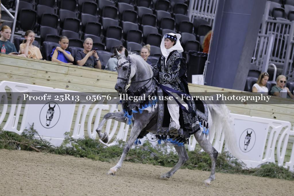 Proof Number 25R13_05676