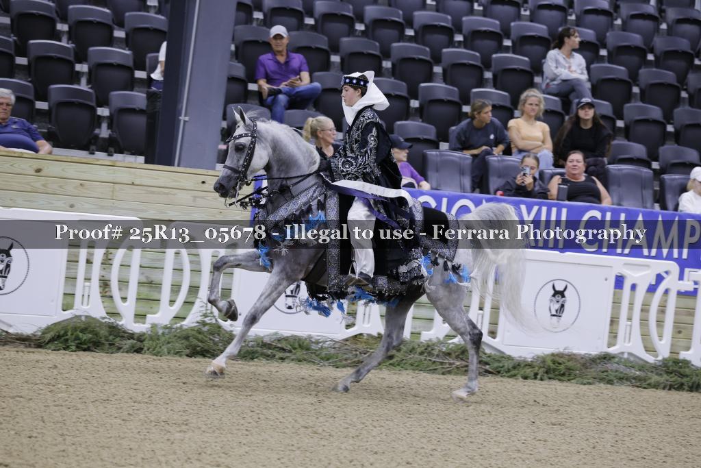 Proof Number 25R13_05678