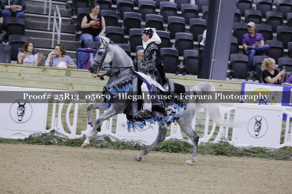 Proof Number 25R13_05679