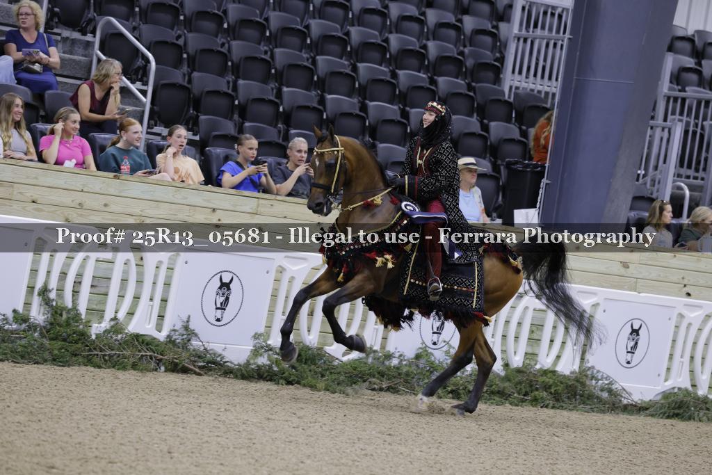 Proof Number 25R13_05681