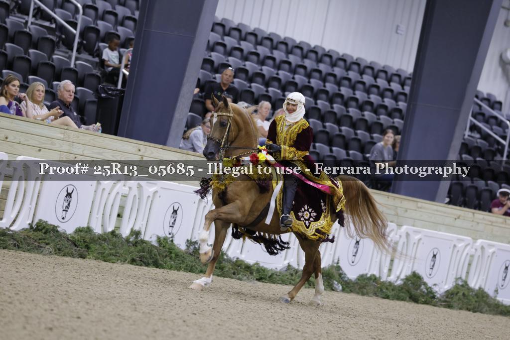 Proof Number 25R13_05685