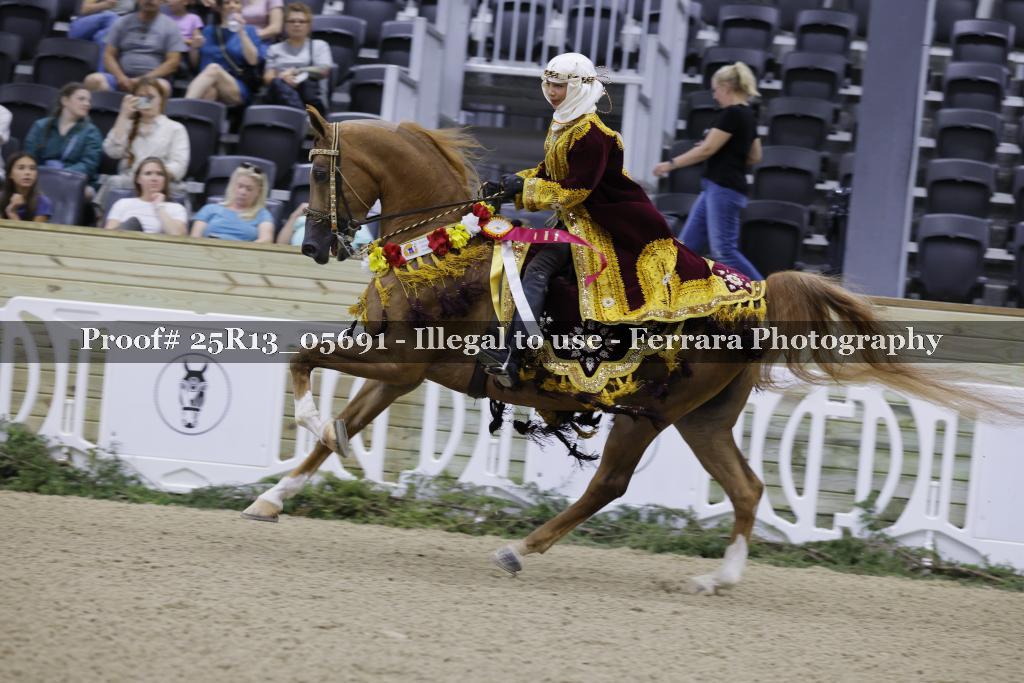 Proof Number 25R13_05691