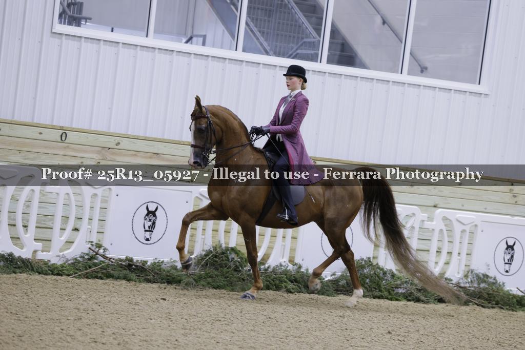 Proof Number 25R13_05927