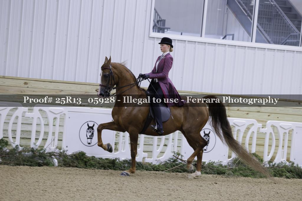 Proof Number 25R13_05928