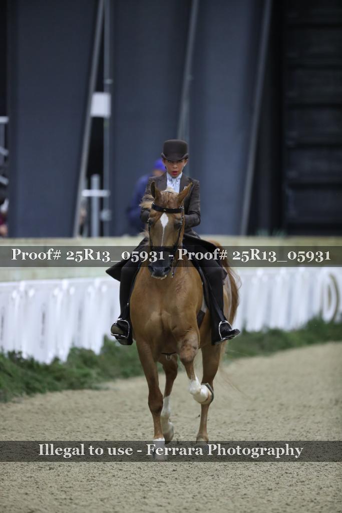 Proof Number 25R13_05931