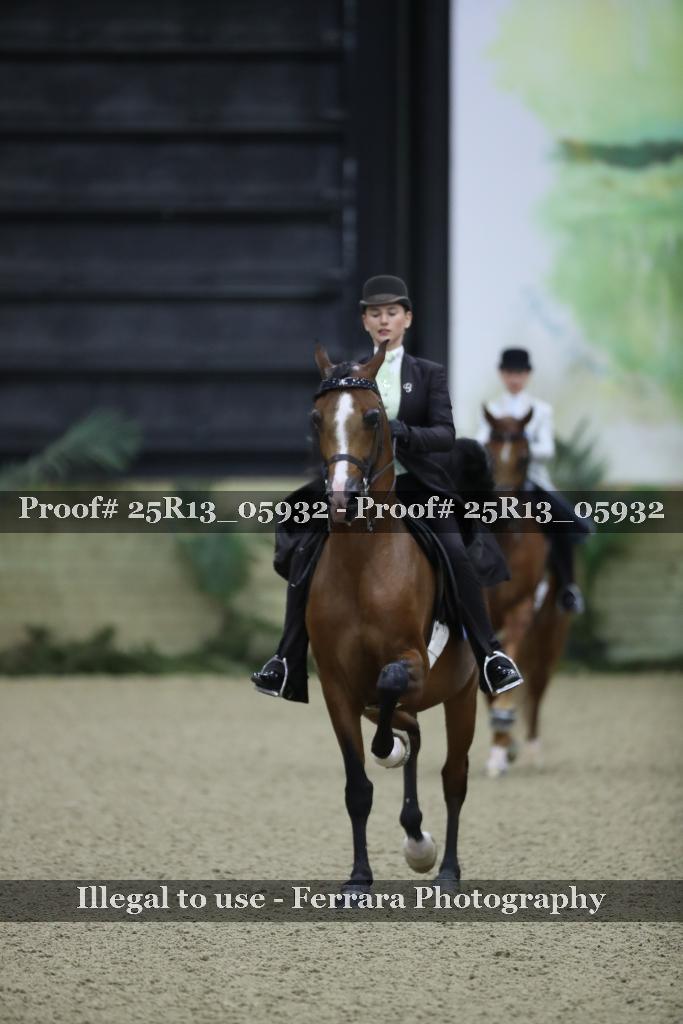 Proof Number 25R13_05932