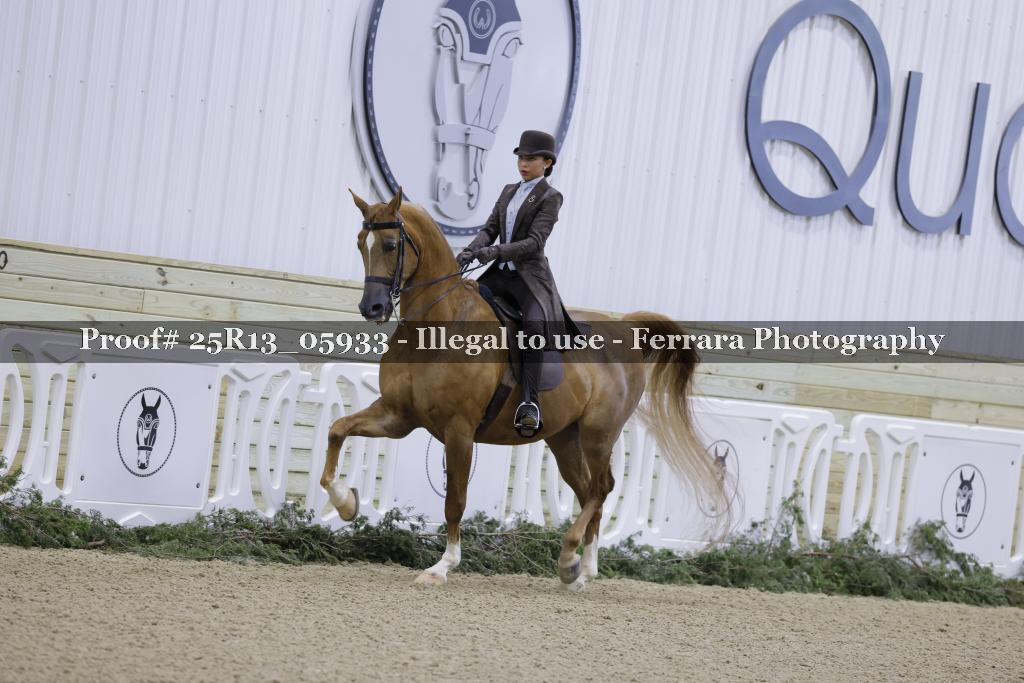 Proof Number 25R13_05933