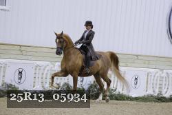 25R13_05934 thumbnail