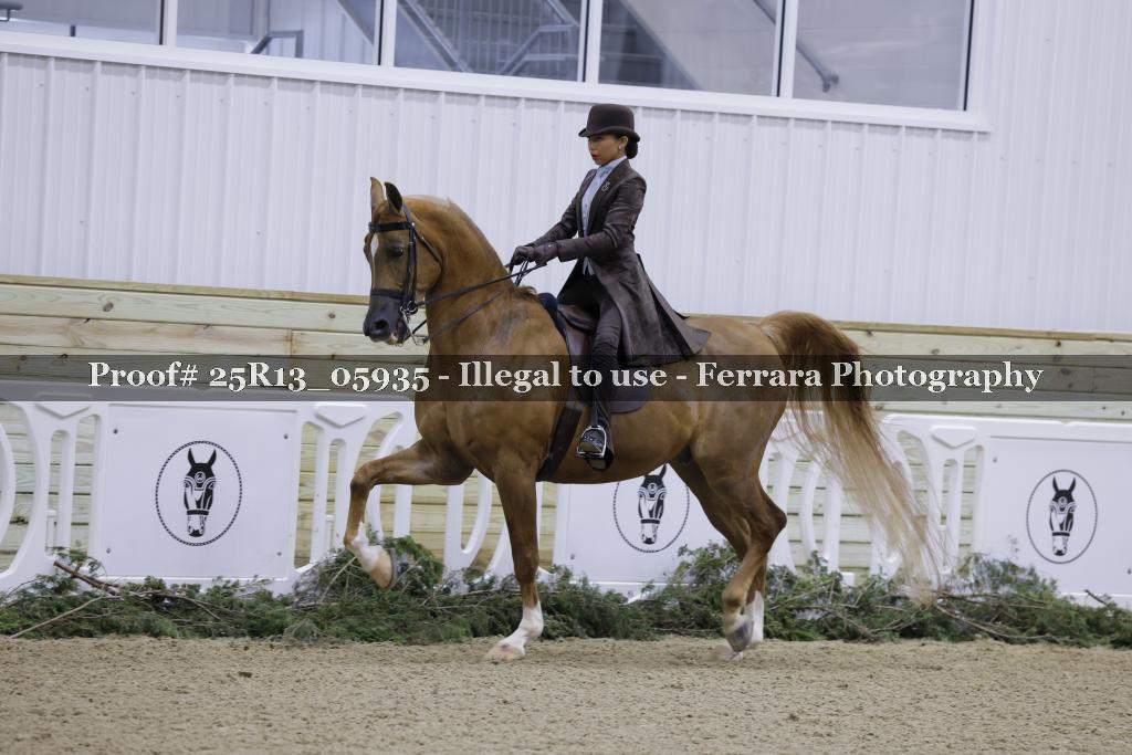 Proof Number 25R13_05935