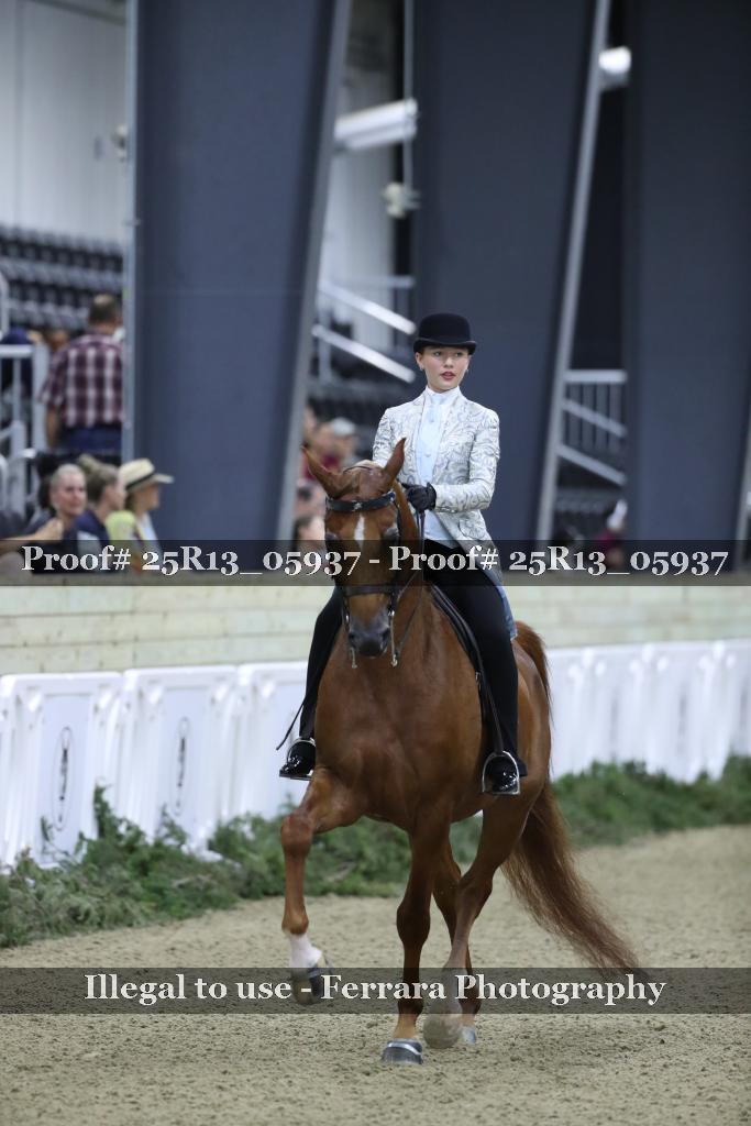 Proof Number 25R13_05937