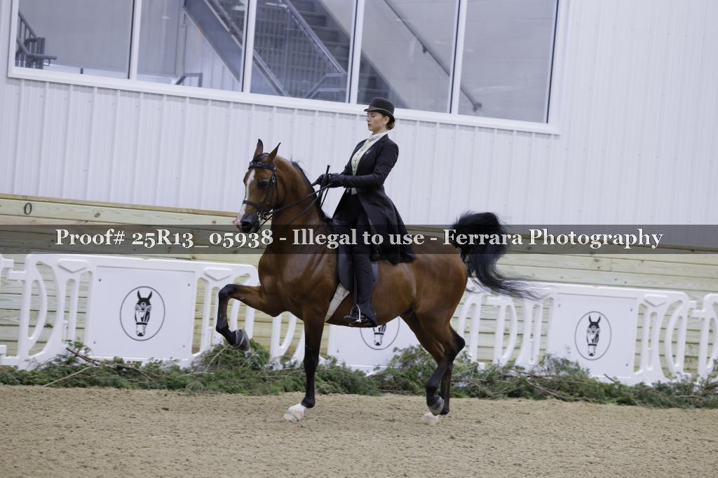 Proof Number 25R13_05938