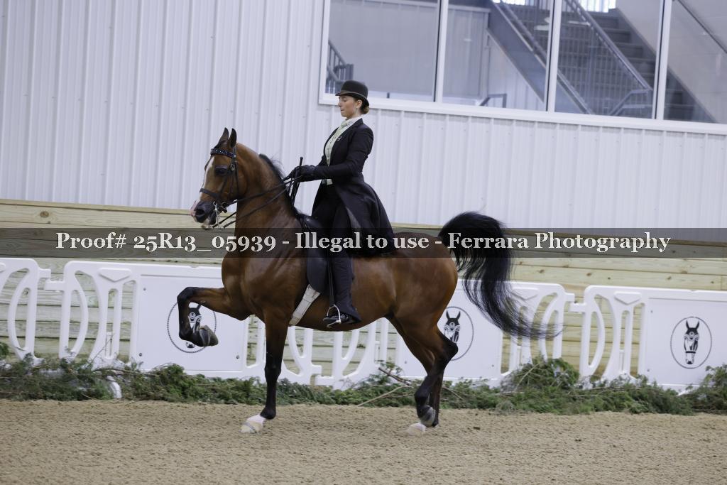 Proof Number 25R13_05939