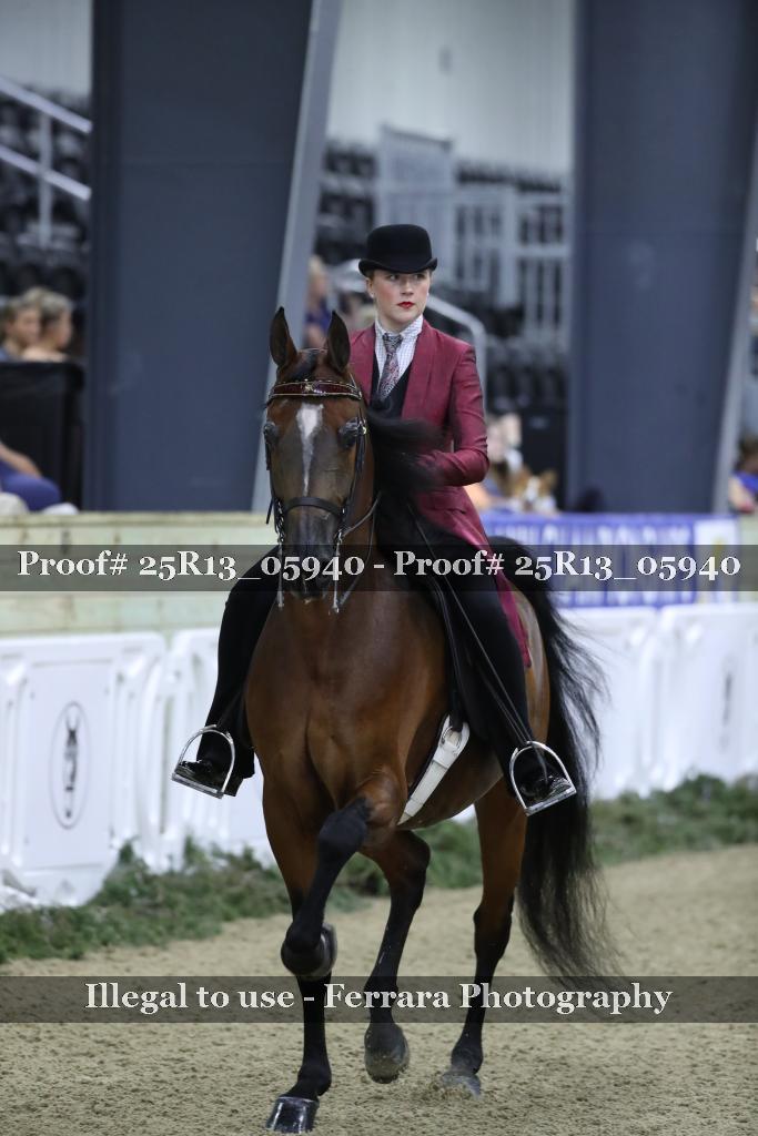 Proof Number 25R13_05940