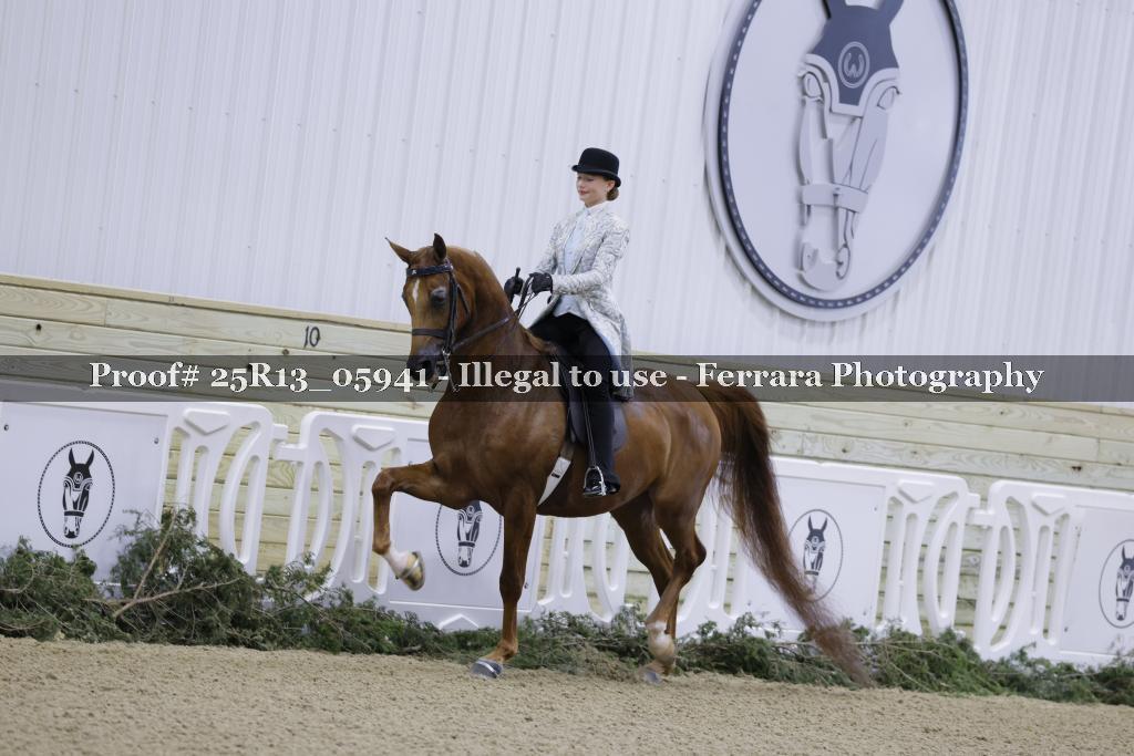 Proof Number 25R13_05941
