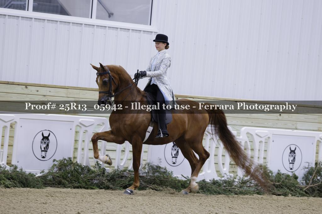 Proof Number 25R13_05942