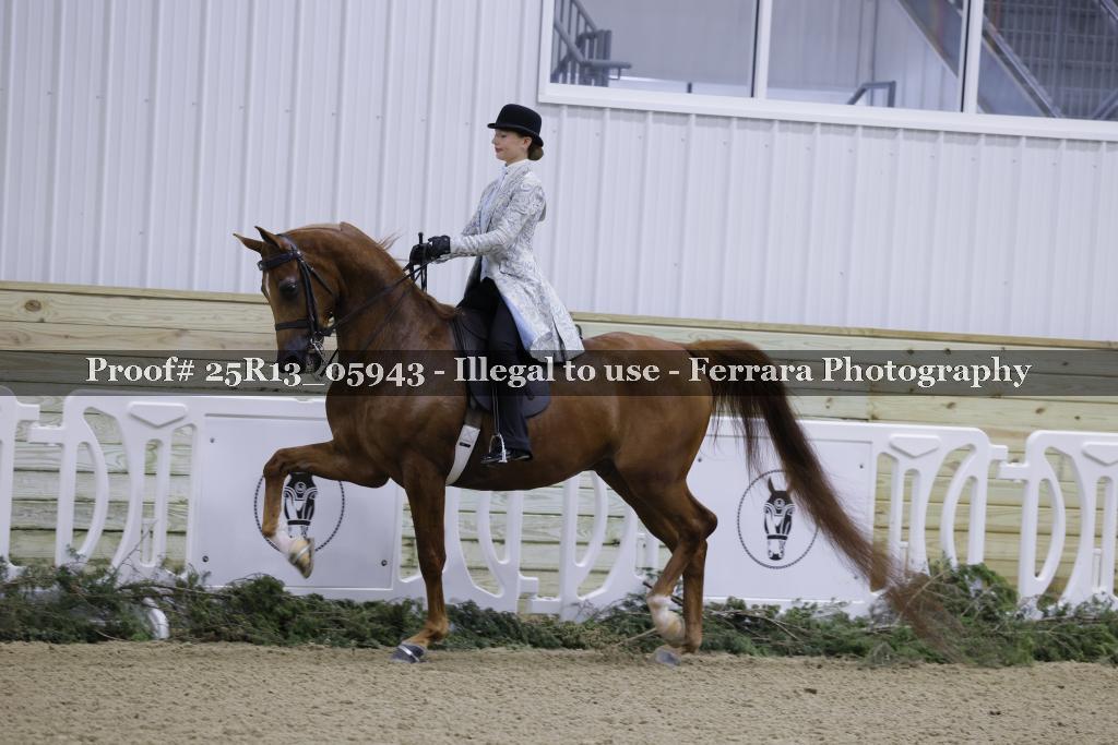 Proof Number 25R13_05943