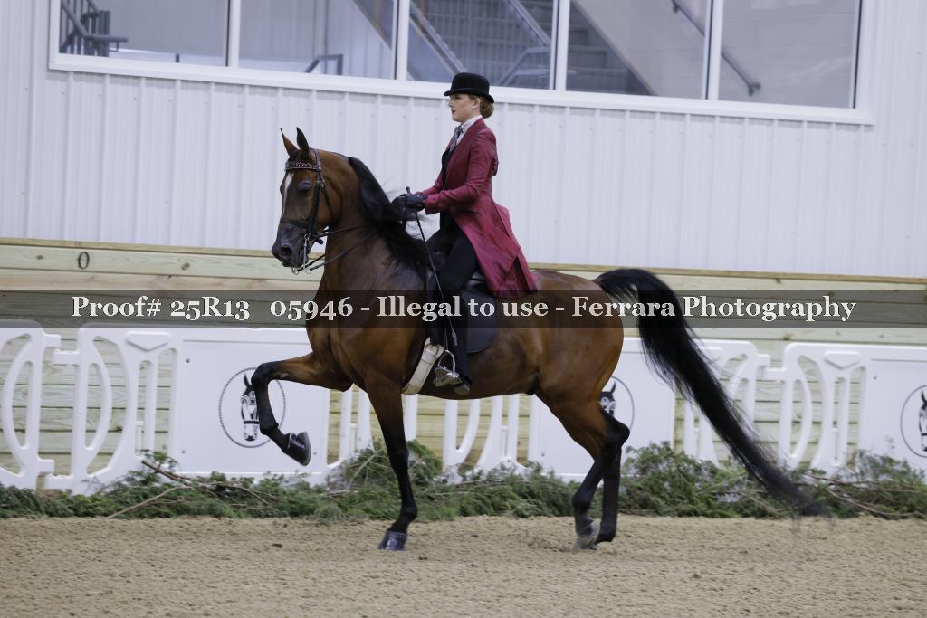 Proof Number 25R13_05946