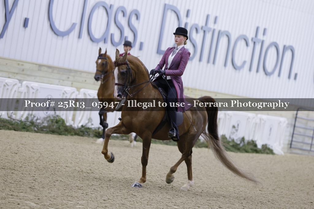 Proof Number 25R13_05947