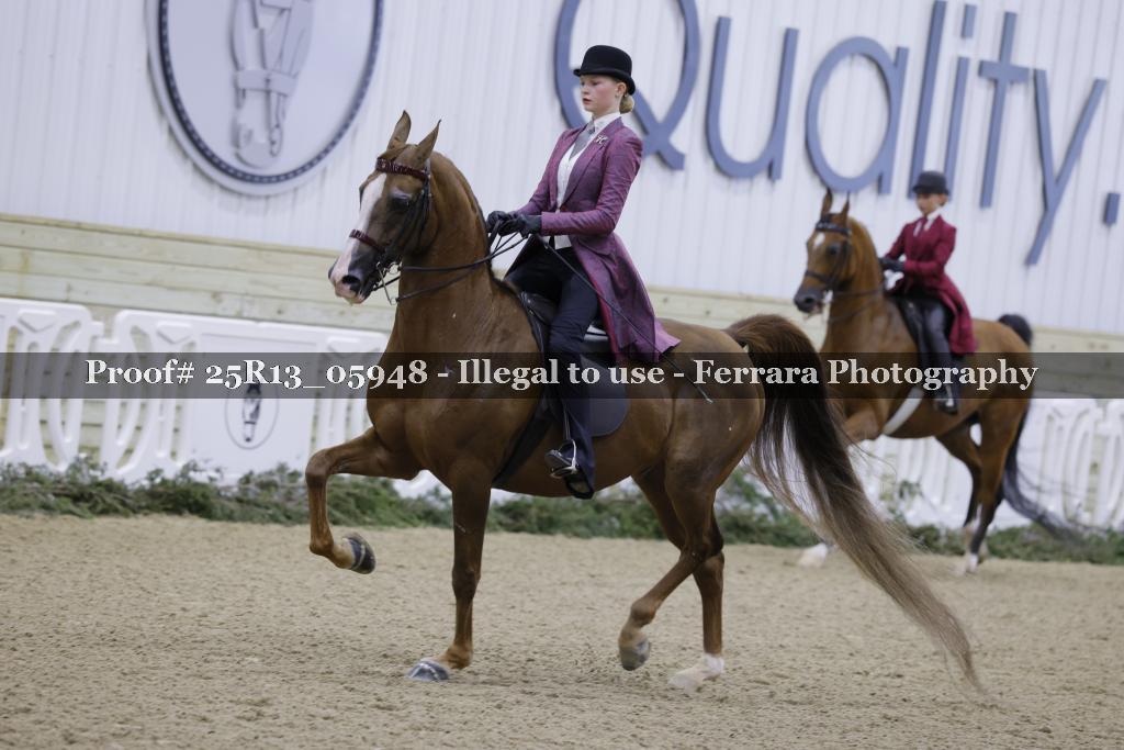 Proof Number 25R13_05948