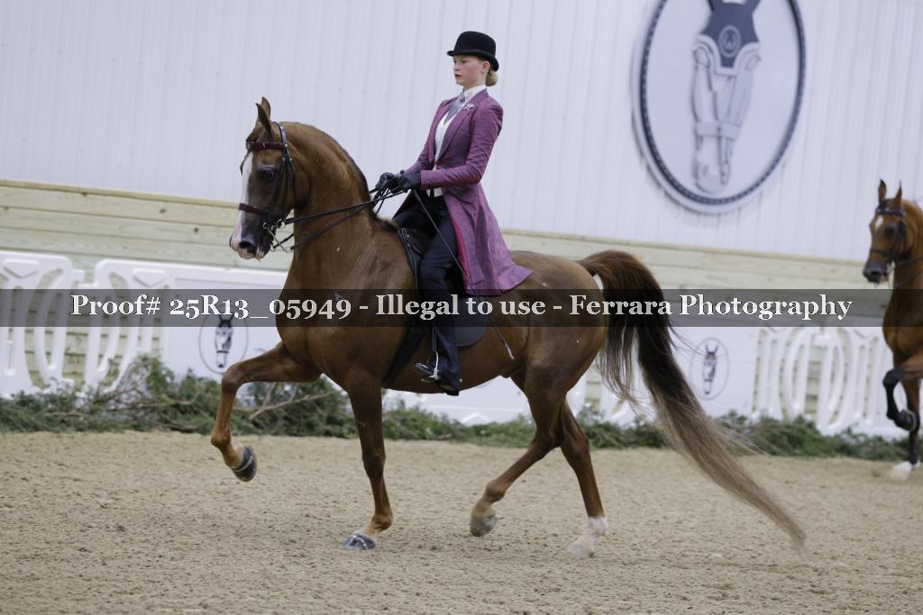 Proof Number 25R13_05949