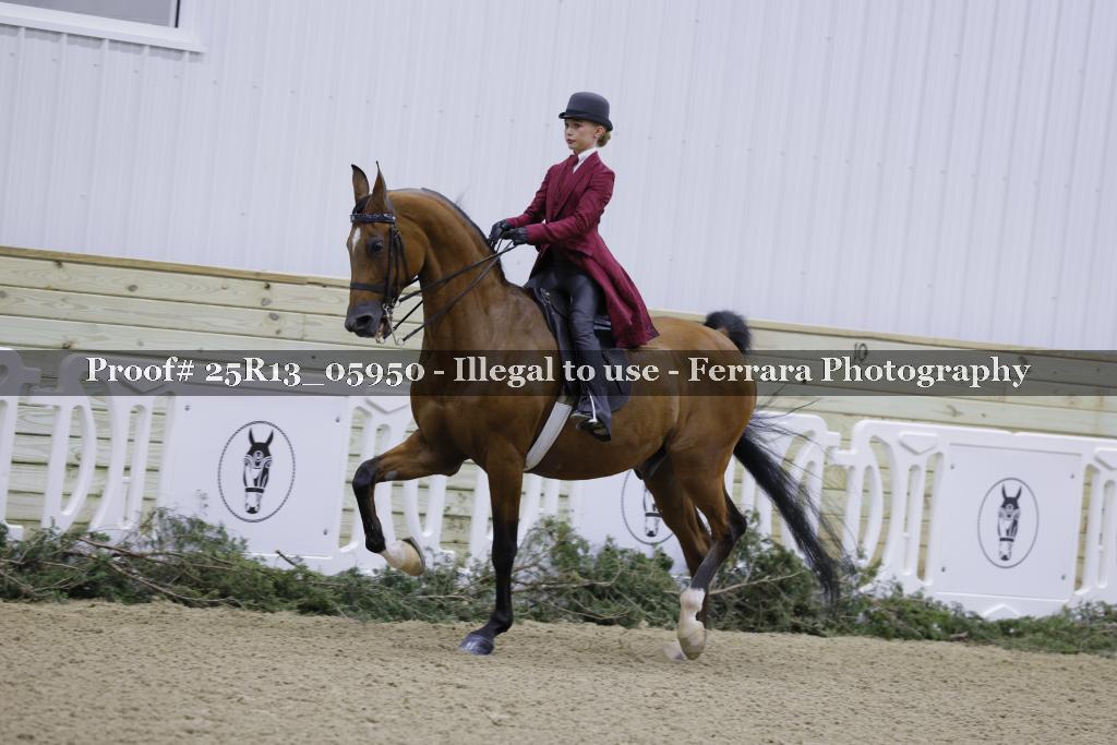Proof Number 25R13_05950
