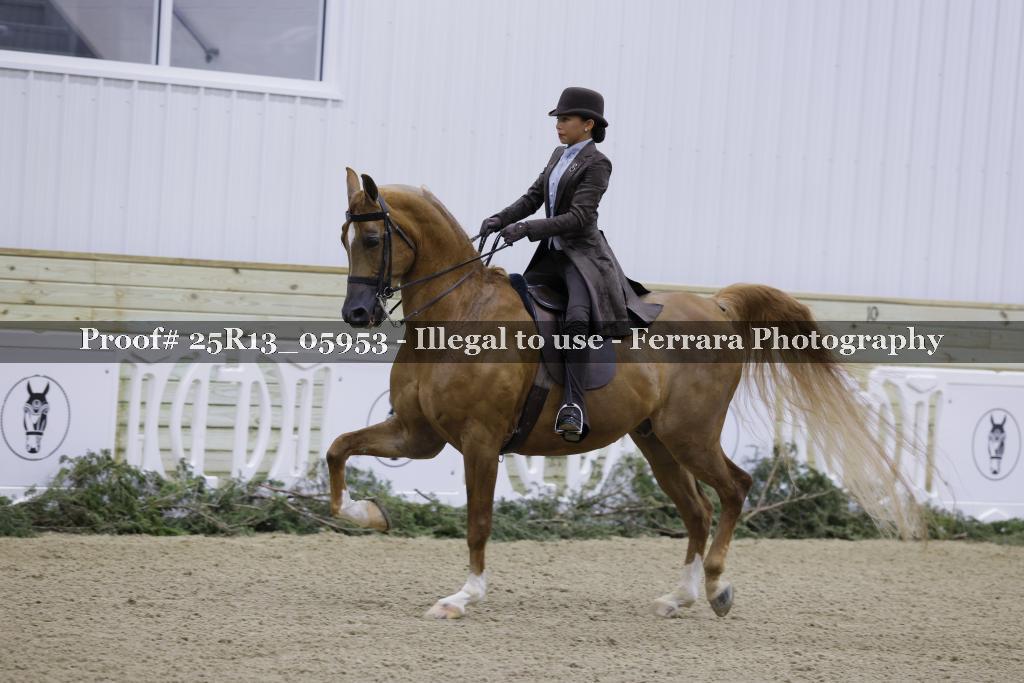 Proof Number 25R13_05953