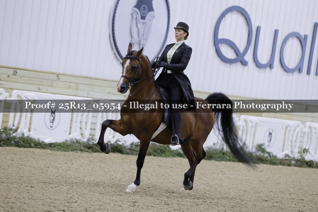 Proof Number 25R13_05954
