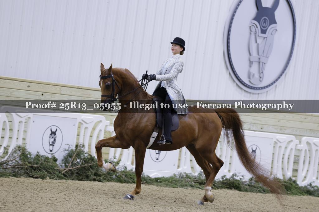 Proof Number 25R13_05955