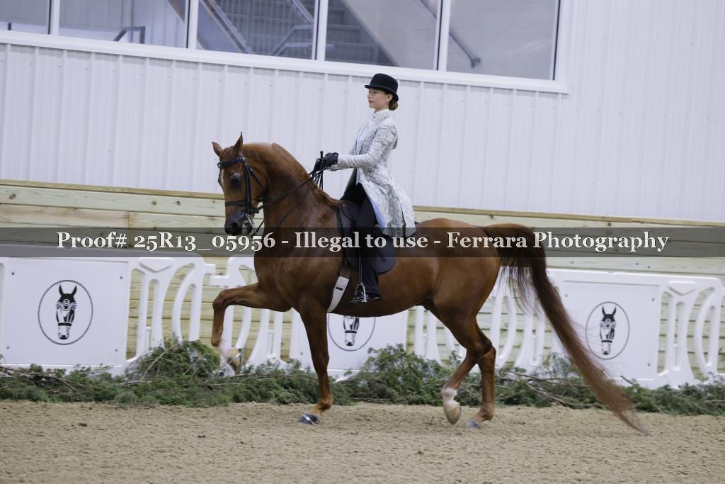 Proof Number 25R13_05956