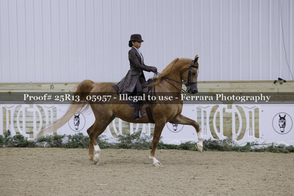 Proof Number 25R13_05957