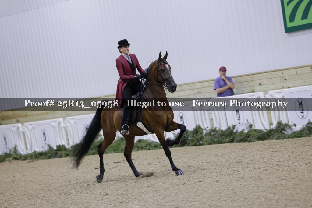 Proof Number 25R13_05958