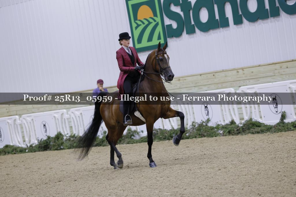 Proof Number 25R13_05959