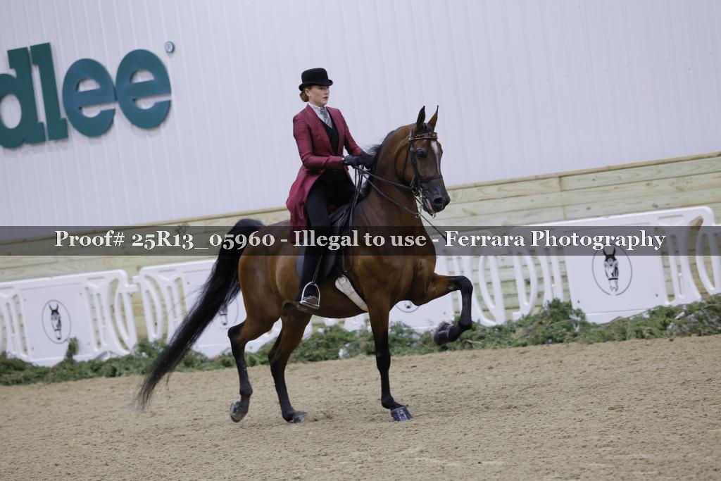 Proof Number 25R13_05960