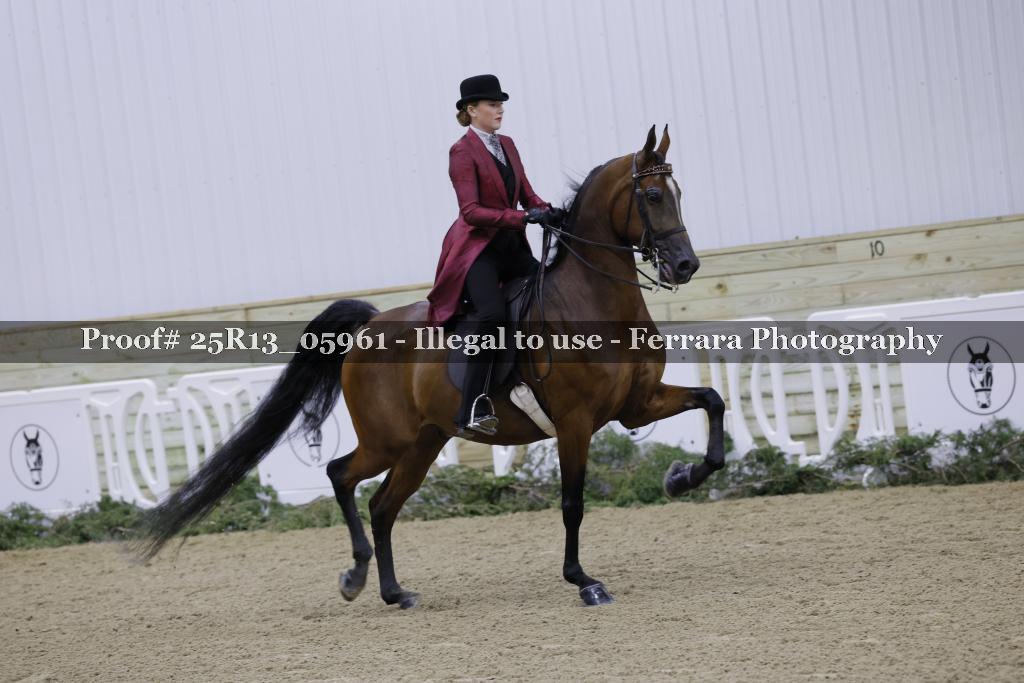 Proof Number 25R13_05961