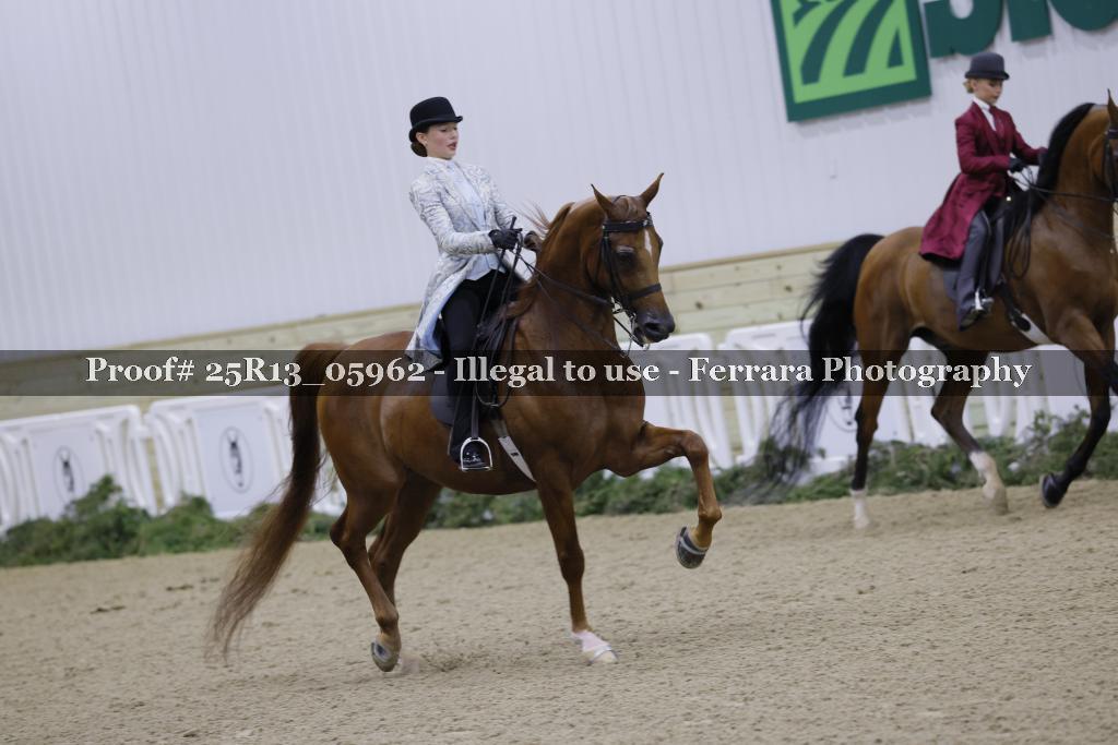 Proof Number 25R13_05962