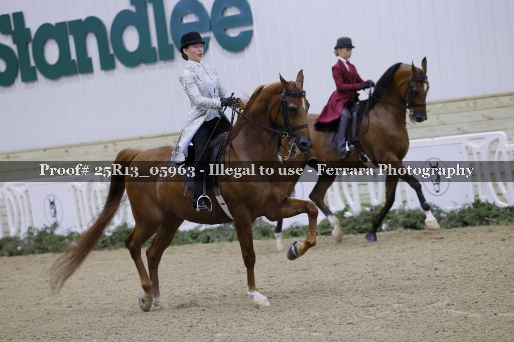Proof Number 25R13_05963