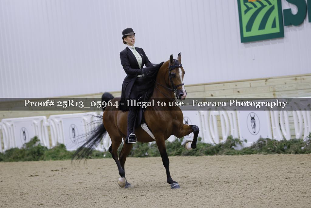 Proof Number 25R13_05964
