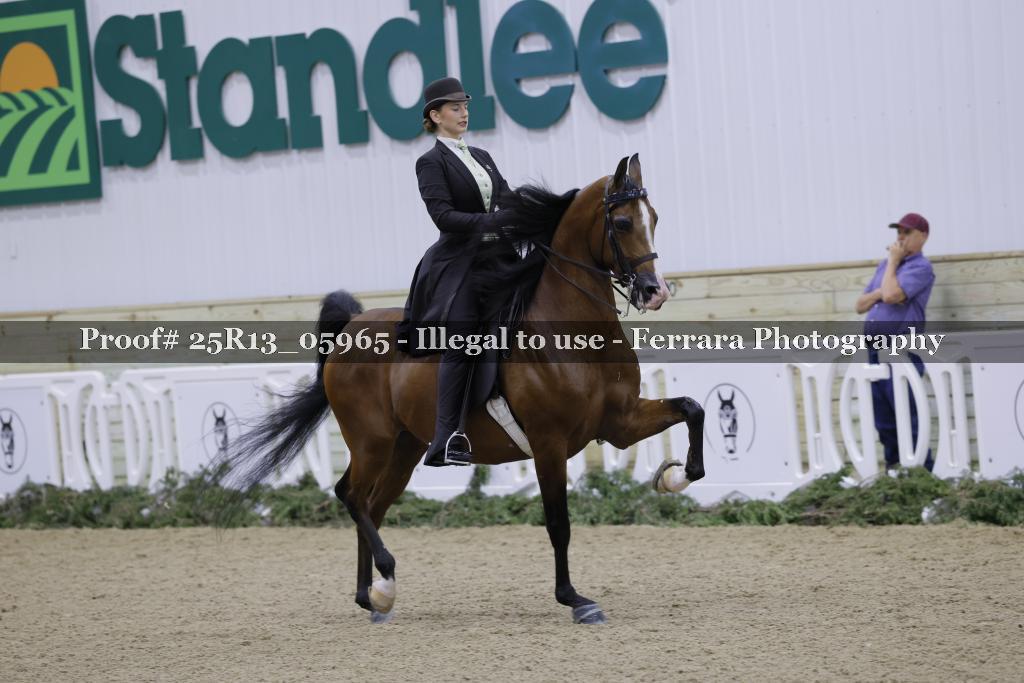 Proof Number 25R13_05965