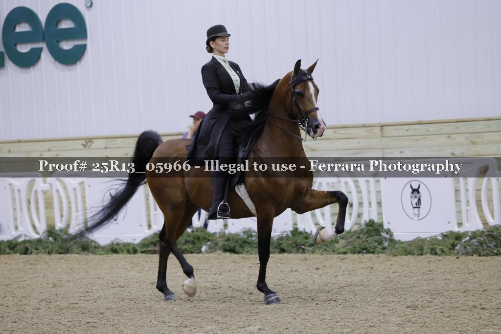 Proof Number 25R13_05966