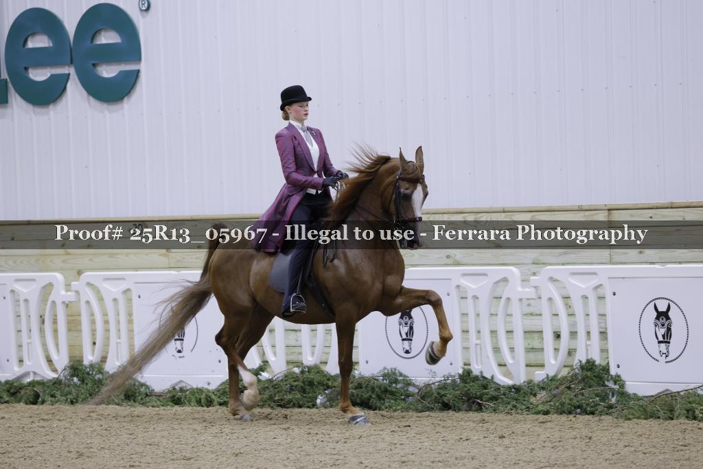 Proof Number 25R13_05967
