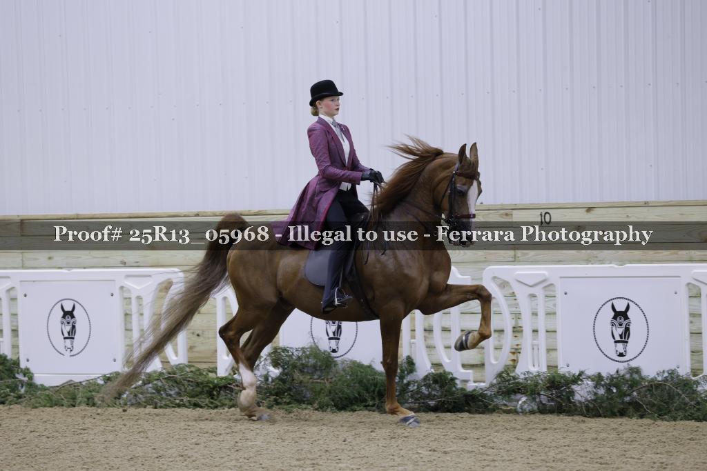 Proof Number 25R13_05968